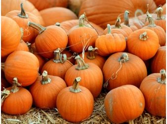 DIY Pumpkin Face Mask