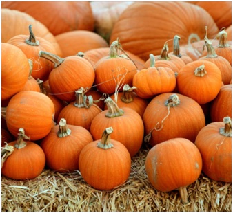 DIY Pumpkin Face Mask